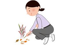 雑草抜き・墓地のおそうじ