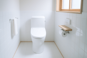 清潔で明るい日本のトイレルーム。ピカピカに磨かれた便器と床。