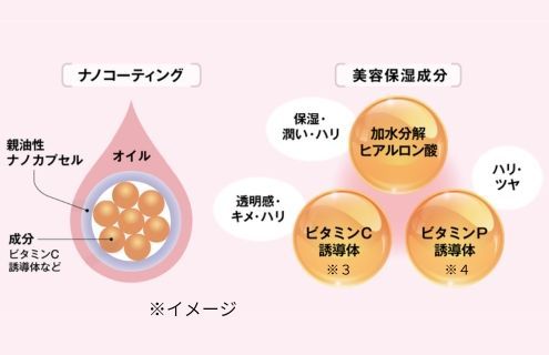 SO高浸透技術のイメージ:水溶性の美容保湿成分をナノカプセル化してオイルに分散